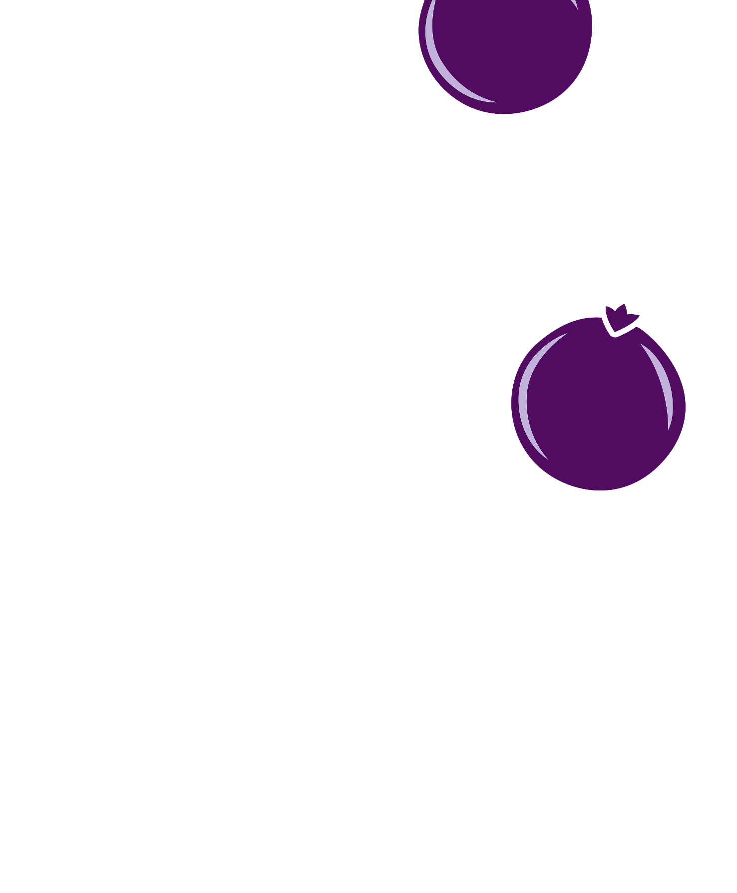 G 4